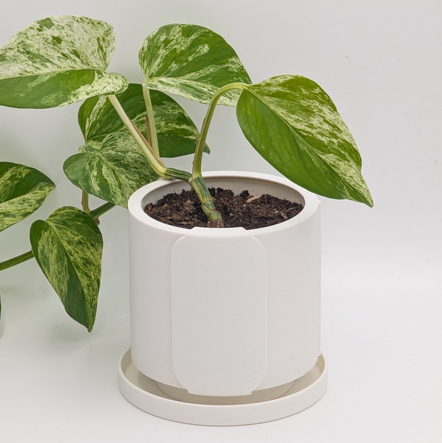 Thrive Planter 4 inch