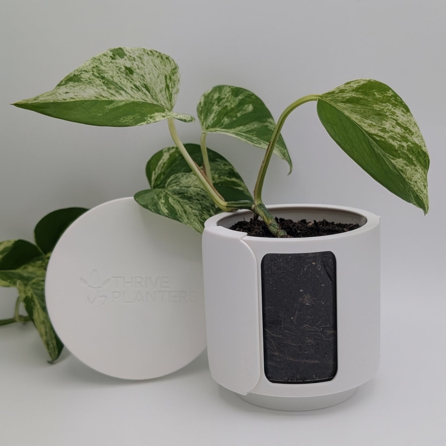 Thrive Planter 4 inch