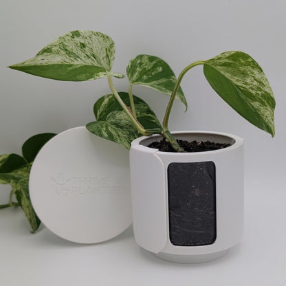 Thrive Planter 4 inch